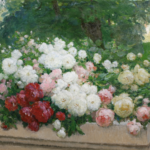 Roses dans un jardin thumbnail