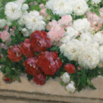 Roses dans un jardin thumbnail