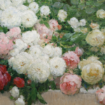 Roses dans un jardin thumbnail