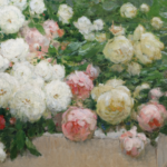 Roses dans un jardin thumbnail