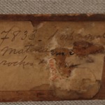 Matinée Le Lavandou – Les Roches thumbnail