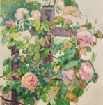 Roses on a fence thumbnail