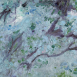 Pommiers en fleurs – Grez-sur-Loing thumbnail