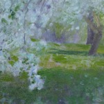 Pommiers en fleurs – Grez-sur-Loing thumbnail