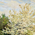 Pommiers en fleurs thumbnail