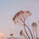 La Brière au Clair de Lune thumbnail