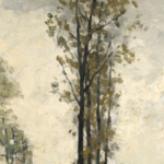 Le Canal Saint-Denis thumbnail