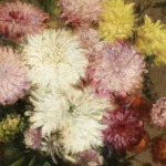 Nature Morte thumbnail