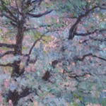 Verger en fleurs, Grez-sur-Loing thumbnail