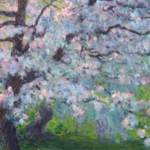 Verger en fleurs, Grez-sur-Loing thumbnail
