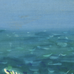 Coquillages au bord de la mer thumbnail