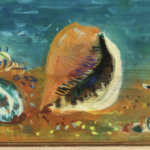Coquillages au bord de la mer thumbnail