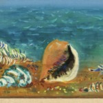 Coquillages au bord de la mer thumbnail