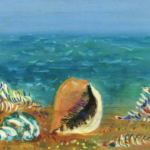 Coquillages au bord de la mer thumbnail