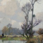 Moutons près des marais thumbnail