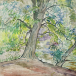 Arbres au bord de l’eau thumbnail