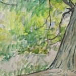 Arbres au bord de l’eau thumbnail