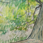 Arbres au bord de l’eau thumbnail