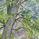 Arbres au bord de l’eau thumbnail