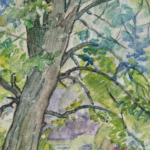 Arbres au bord de l’eau thumbnail