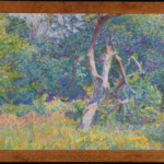 Sous-bois ensoleillé thumbnail