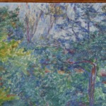 Sous-bois ensoleillé thumbnail