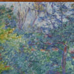 Sous-bois ensoleillé thumbnail