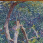 Sous-bois ensoleillé thumbnail