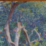 Sous-bois ensoleillé thumbnail