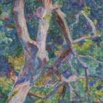Sous-bois ensoleillé thumbnail