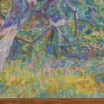 Sous-bois ensoleillé thumbnail