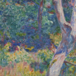 Sous-bois ensoleillé thumbnail