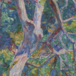 Sous-bois ensoleillé thumbnail