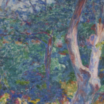 Sous-bois ensoleillé thumbnail