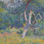 Sous-bois ensoleillé thumbnail