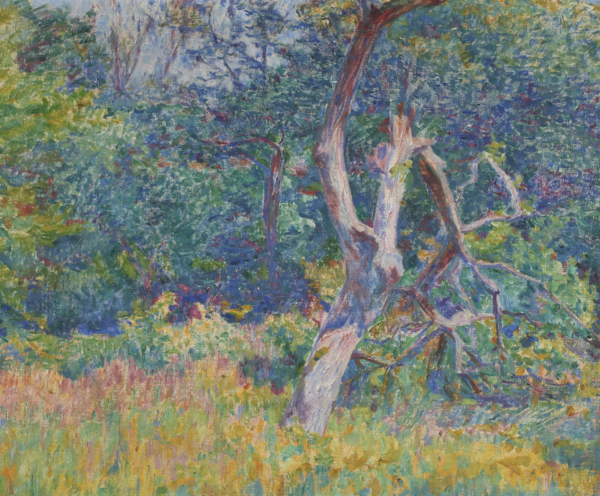 Sous-bois ensoleillé - Buy Fine Paintings Online