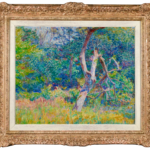 Sous-bois ensoleillé thumbnail