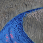 La Camargue thumbnail