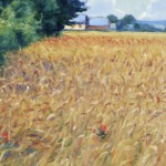 Champ de blé aux coquelicots thumbnail