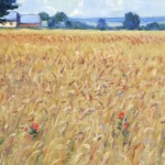 Champ de blé aux coquelicots thumbnail