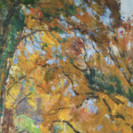 Automne à Pontmartin thumbnail