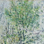 Vergers en fleurs, printemps thumbnail