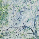 Vergers en fleurs, printemps thumbnail