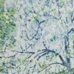 Vergers en fleurs, printemps thumbnail