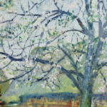 Vergers en fleurs, printemps thumbnail