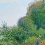 Champ de coquelicots au bord de l’Oise thumbnail
