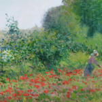 Champ de coquelicots au bord de l’Oise thumbnail