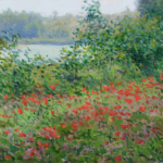 Champ de coquelicots au bord de l’Oise thumbnail