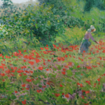 Champ de coquelicots au bord de l’Oise thumbnail