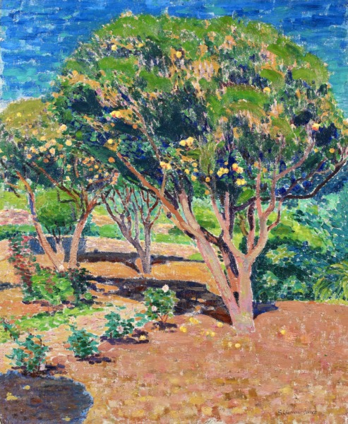 Jardin d’orangers, Midi